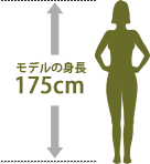 モデルの身長　165cm